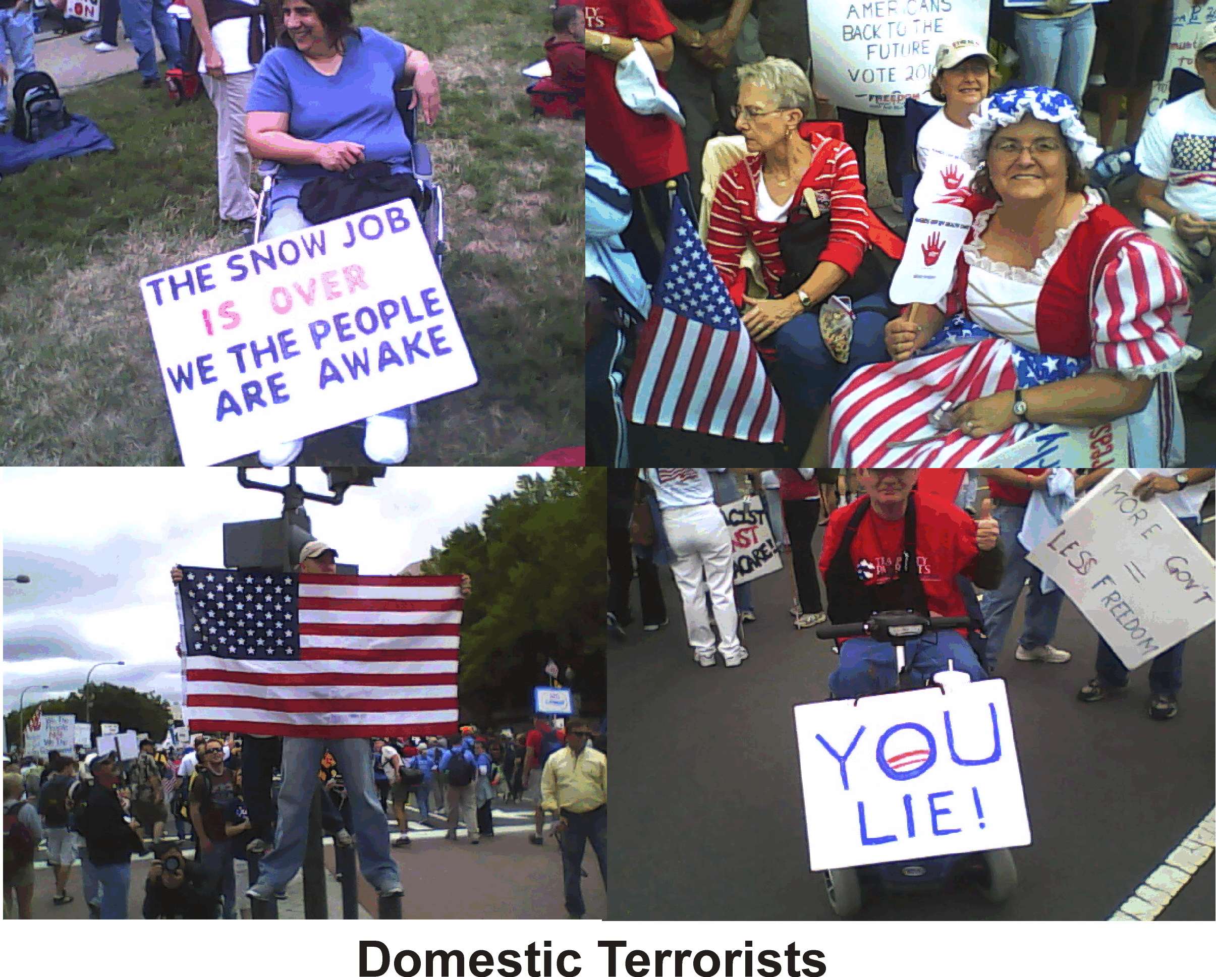 domesticn terrorists