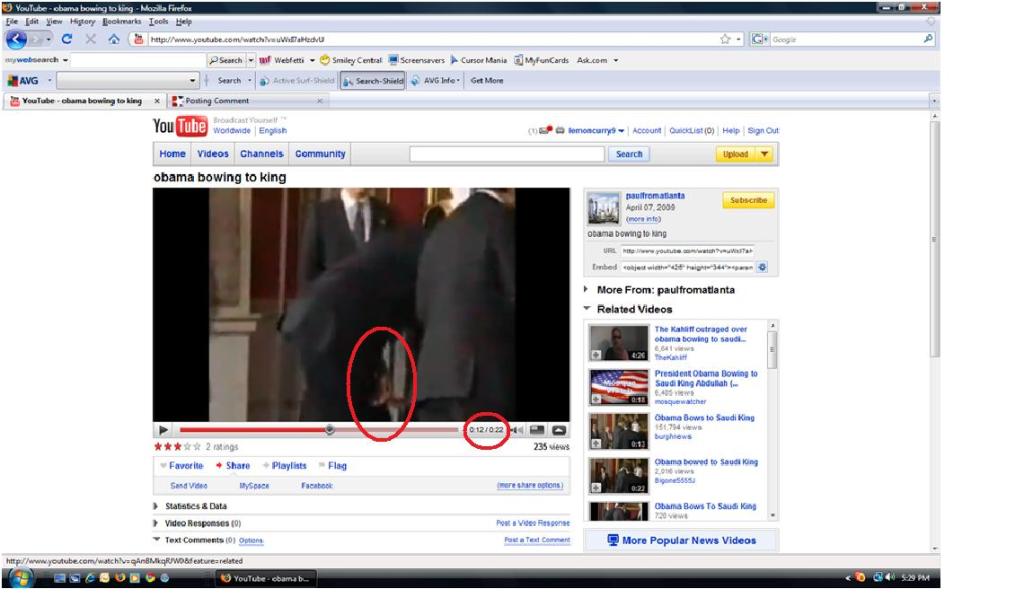 White House lie on the bow #1