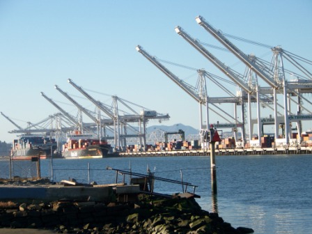 cranes and containers
