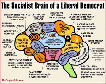 Socialist brain Socialist brain